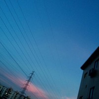 朱婉晴