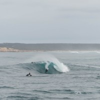 Dane Bamberry