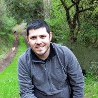 Daniel Romero Toledo