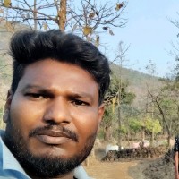 Selva Kumar P