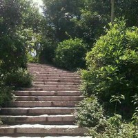王陆远