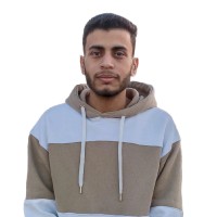 Badr Salah