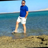 Sayed Awadallah