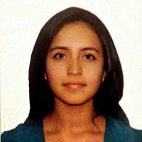 Paula Andrea Castro Robles