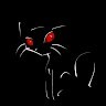 NITHEESH S P