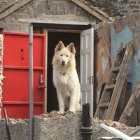 Steven Instal