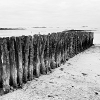 Emmanuel Gentilhomme