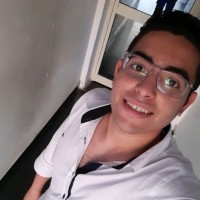 Ahmed Elmasry