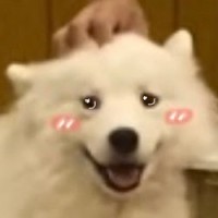 V H