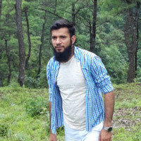 aamir anwar