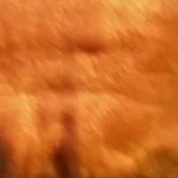 STEVEN    a MC MICHAEL