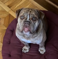Матвей Божко