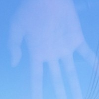 杨金雷