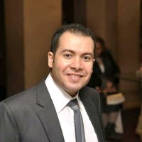 Mina Gerges
