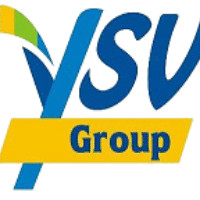 YSV Group