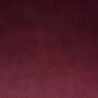 Lonelylife Needacompany