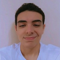Luiz Felipe dos Santos