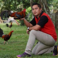Neil ​Dalangan