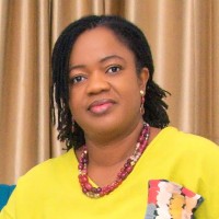 Olayinka Olagbegi-Adegbite, Ph.D.