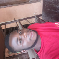 Alidzi David