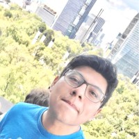 Julio Cesar Ruiz Lopez