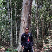 Zul Amri