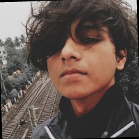 Arkapravo Das