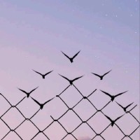 Ethar Hussam al deen