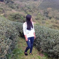 Zar Chi Phyo