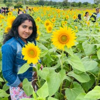 Vineetha Krishnan