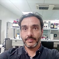 Pedro Aspas Eguren