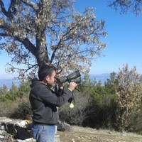 Mutlu Çomuk