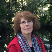 Madeline Levy