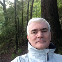 Robert Weissohn