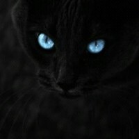 Evil4 Mr.Mmo