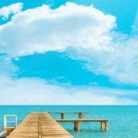 王顺良