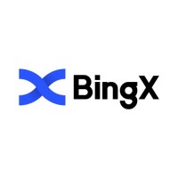 Bing X