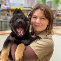 Chloe Poulos