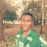 Godfrey Sylvester