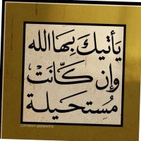 سلمى الحارثي