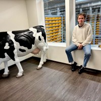 Daan Nauta