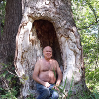 michel thibert