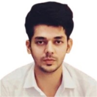 Raj Ray