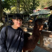 Jordan Cheng