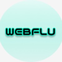Agence Webflu ☑
