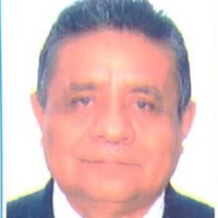 PALOMINO PAZ