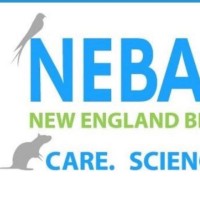 Nebaalas New England Branch Of Aalas