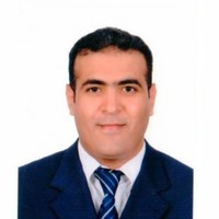 Mostafa Elhariry