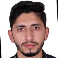 Syed Shahzad Ali Shah