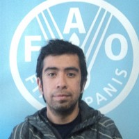 Diego Urzúa